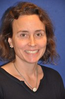 Dr. Stephanie Schmidt-Gattung
